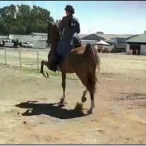 Meet your Posher, Ina